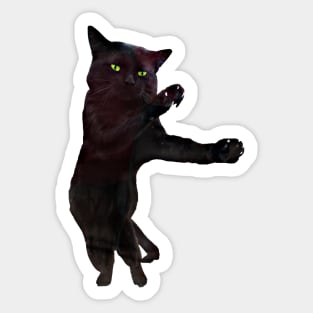 Dancing black cat Sticker